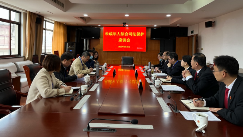 3.31【能力提升年】凝心聚力 共护未来——鸠江区政协未成年人综合司法保护工作专题视察会议在鸠江区检察院召开1.png